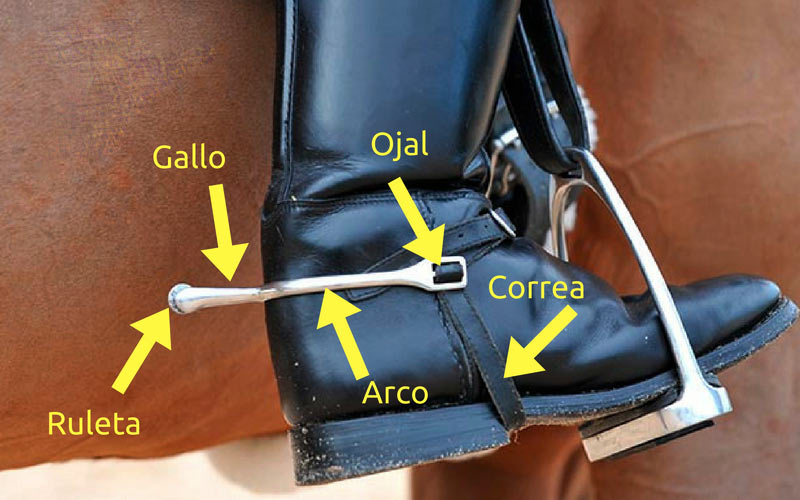 Partes de una espuela