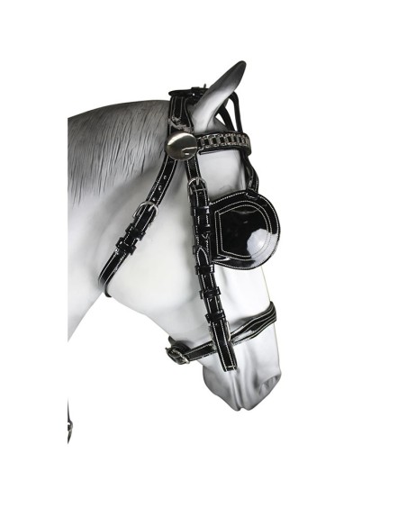 Patent Leather English Collar Double Harness
