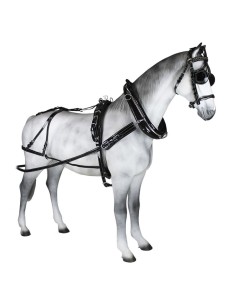 Patent Leather English...