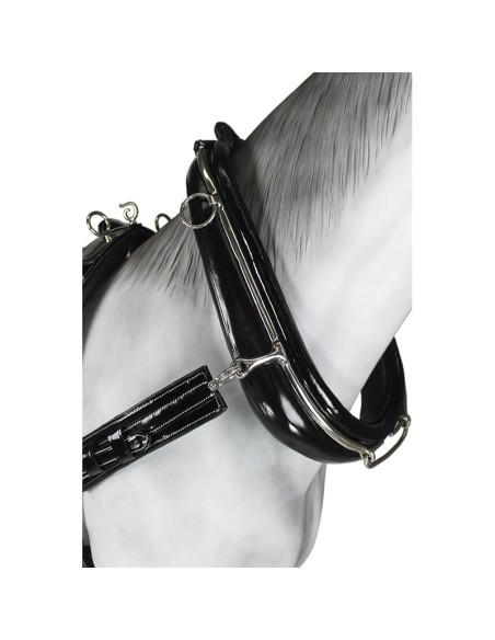 Patent Leather English Collar Single Harness