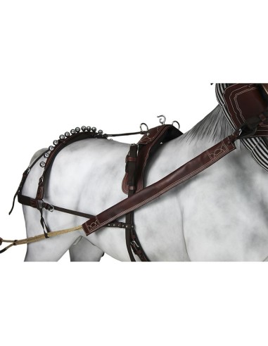 Enganche Sencillo Calesero Cuero/Nylon