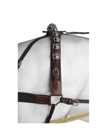 Enganche Sencillo Calesero Cuero/Nylon