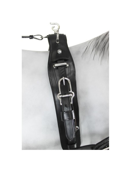 Leather Diplomatic Collar Single Harness