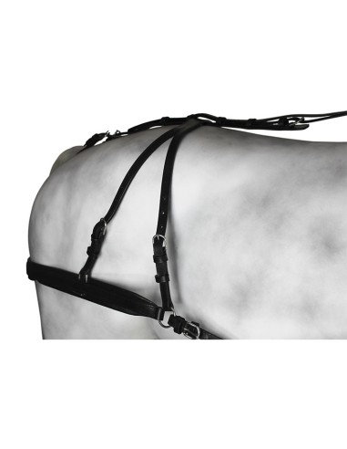 Leather Diplomatic Collar Single Harness