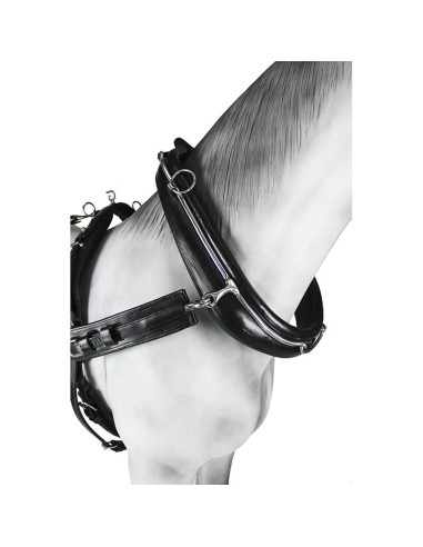 Leather Diplomatic Collar Single Harness