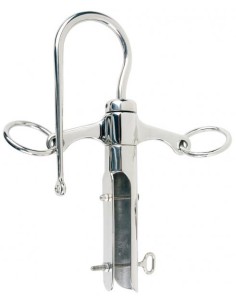 Punta Lanza Cuello Cisne... 2