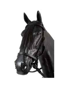 Cabezada Vaquera Curtisur... 2