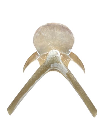 Fiber Saddle Tree "P"