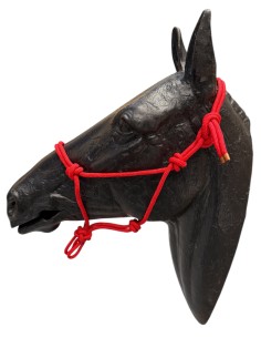 Rope Halter 2