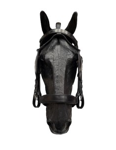 Quita y Pon Marathon 2