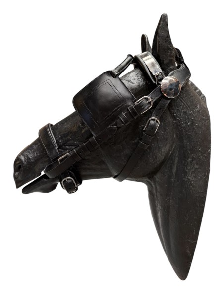 Quita y Pon Marathon