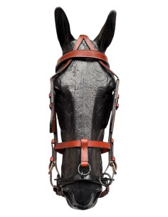 Quita y Pon Enganche Calesero 2