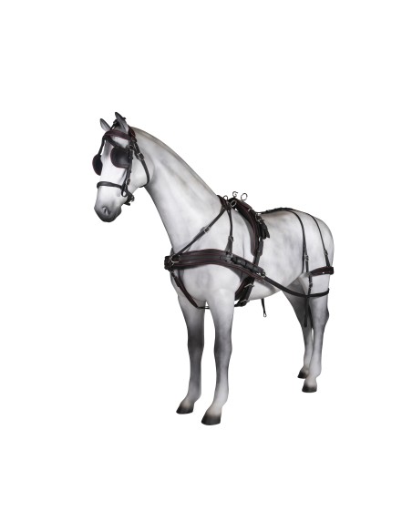 Enganche Sencillo Tannery Anatómico