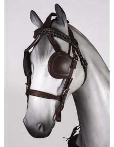 "PP" Combined Double Pony... 2