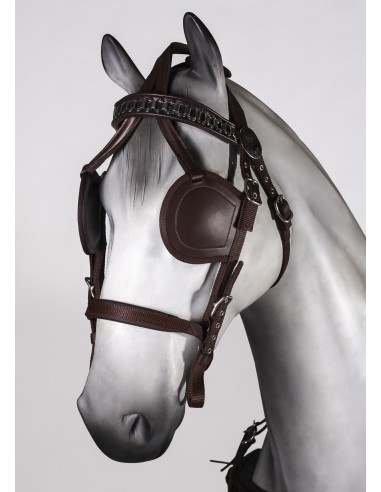 Enganche Doble PP Combinado SS Pony