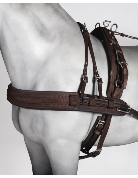 Enganche Sencillo PP Combinado Suelte Rápido Pony