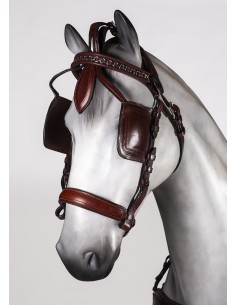 Leather Anatomic... 2