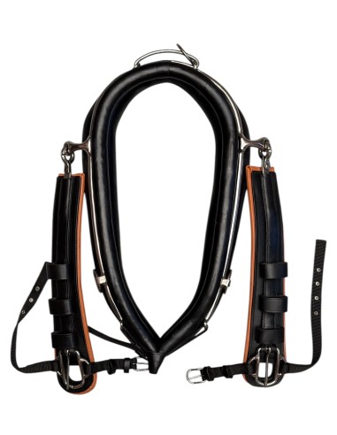 Leather/Nylon English Collar Double...