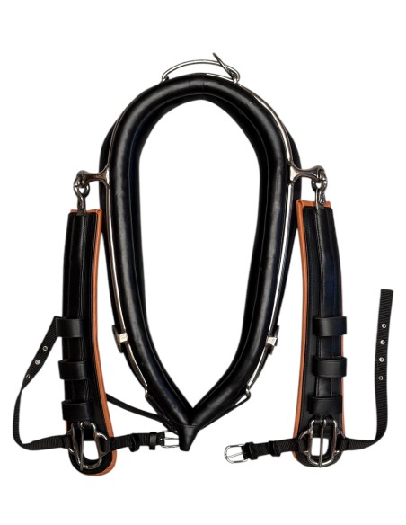 Leather/Nylon English Collar Double Harness