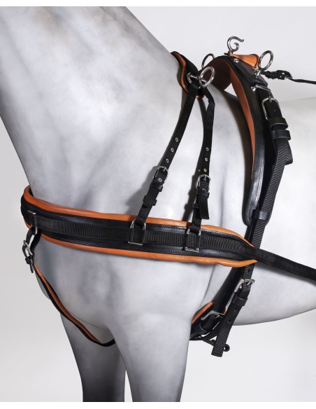 Leather/Nylon English Collar Single Harness