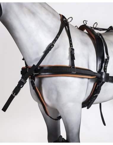 Leather/Nylon Breastplate Double Harness