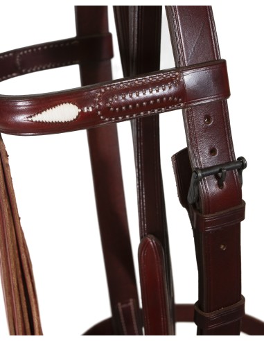 Cabezada Vaquera Artesana Pergamino