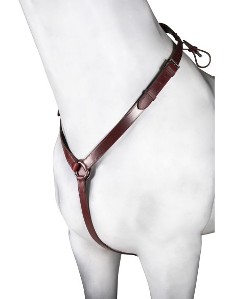Leather Handcrafted Spanish Breastplate