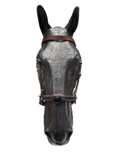 3 Pillars Leather Halter with Cavesson