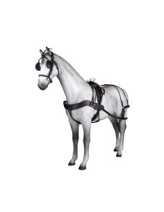 Anatomic Tannery Single... 2