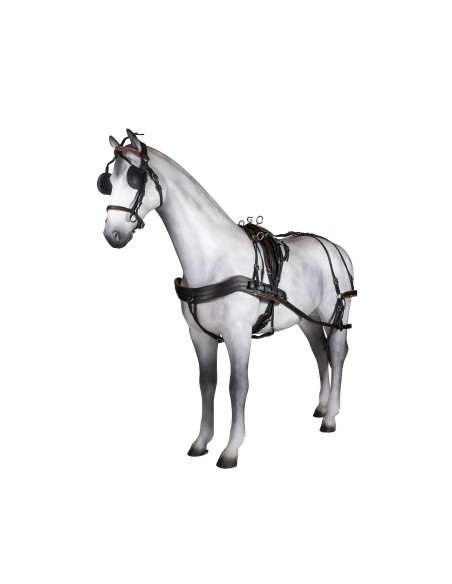 Enganche Sencillo Tannery Anatómico Pony