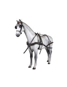 Anatomic Tannery Double... 2