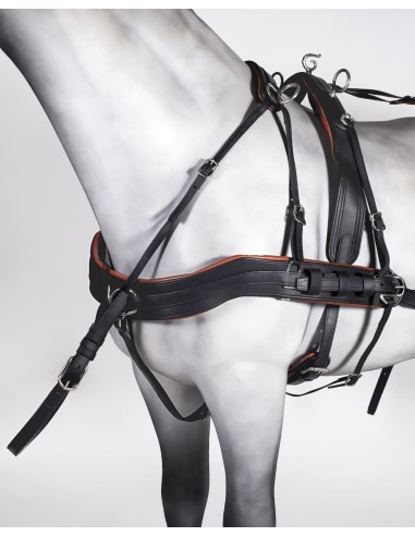 Enganche Doble Tannery Anatómico Pony