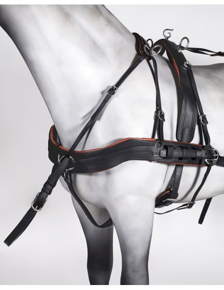 Enganche Doble Tannery Anatómico Pony