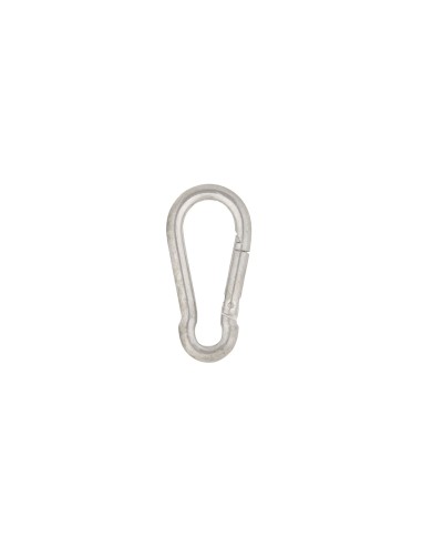 Iron Carabiner
