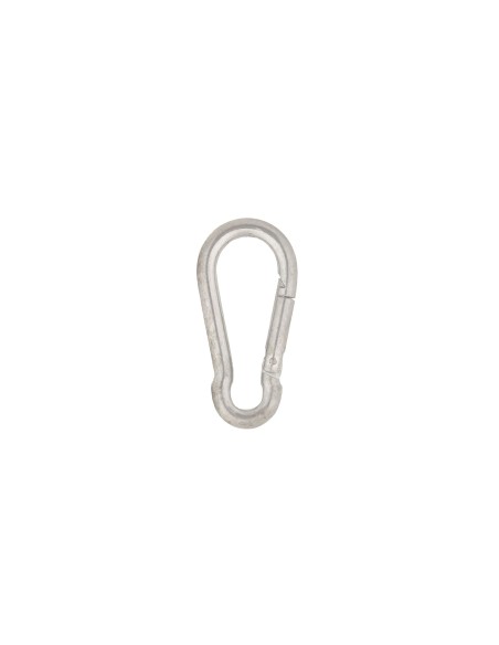 Iron Carabiner