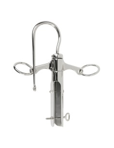 Punta Lanza Cuello Cisne...