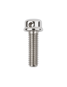 Stainless Steel Bolt with Nuts