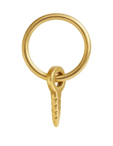Golden Ring with Nail