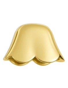 Golden Big Cap