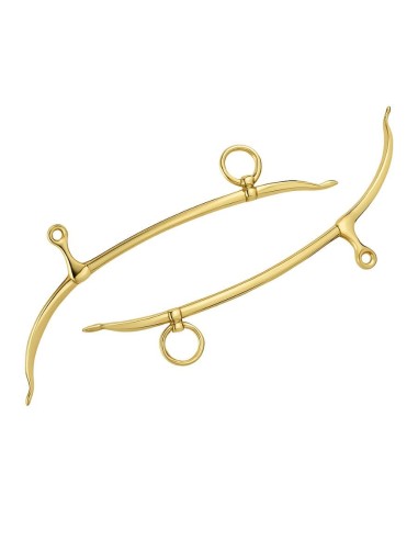 Golden Lock Set (Pair)