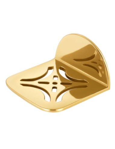 Golden Stirrup for Carriage
