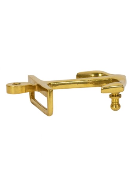 Hebilla Cinturón Ancla Dorada perfil