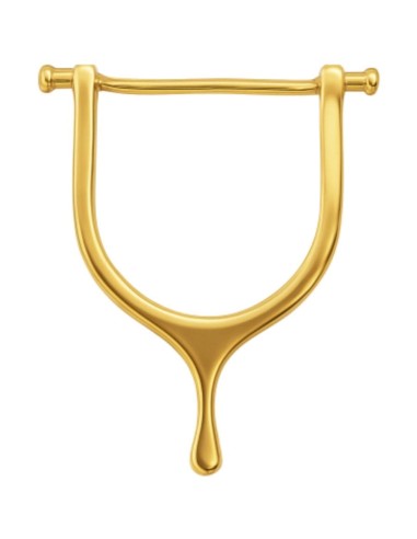 Golden Spur Belt Buckle