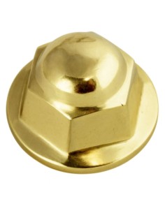 Golden Brake for Carriages