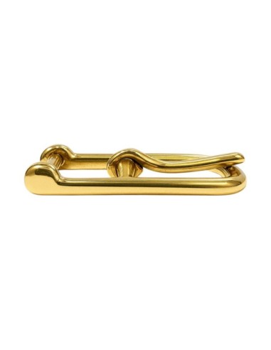 Golden French Tug Buckle