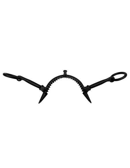 Blackened 2 Large Pilars Noseband with Loops