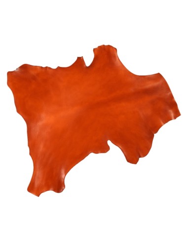 Veg-Tan Goatskin Leather (Small)