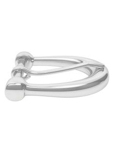 Nickel Horseshoe Belt Buckle 2