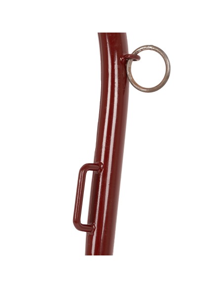 Iron Collar for Carriages