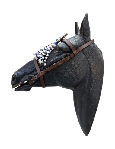 Cabezada Vaquera Con Mosquero Seda